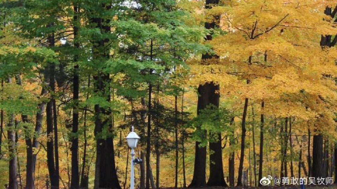 近期音频推广定制化升级您的获客系统:深夜推广不用等,数据透明更放心,雁回时叔婶是好人